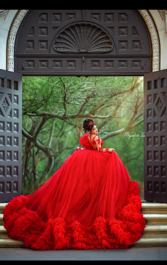 Luxury Red Dreamers Dress