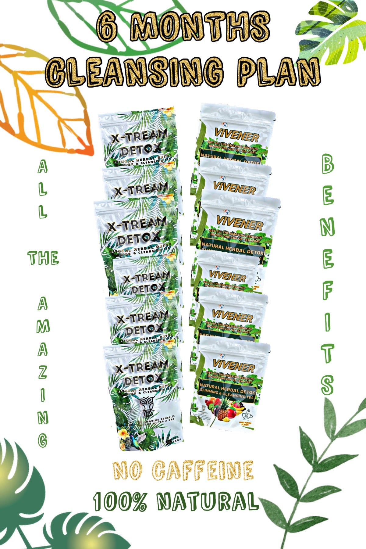 6 MONTHS CLEANSING PLAN 6 X-TREAM DETOX 6 VIVENER DETOX