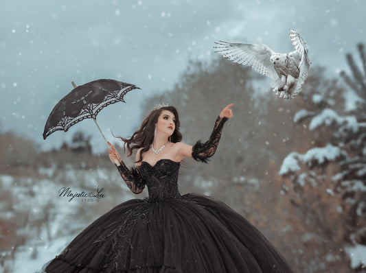 Ice Queen Black Luxury Dress