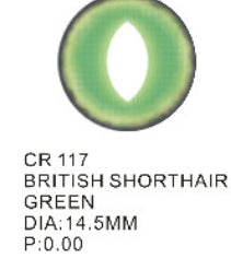 117 green british shorthair