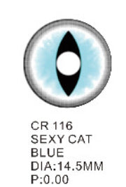 Blue fire cat 116